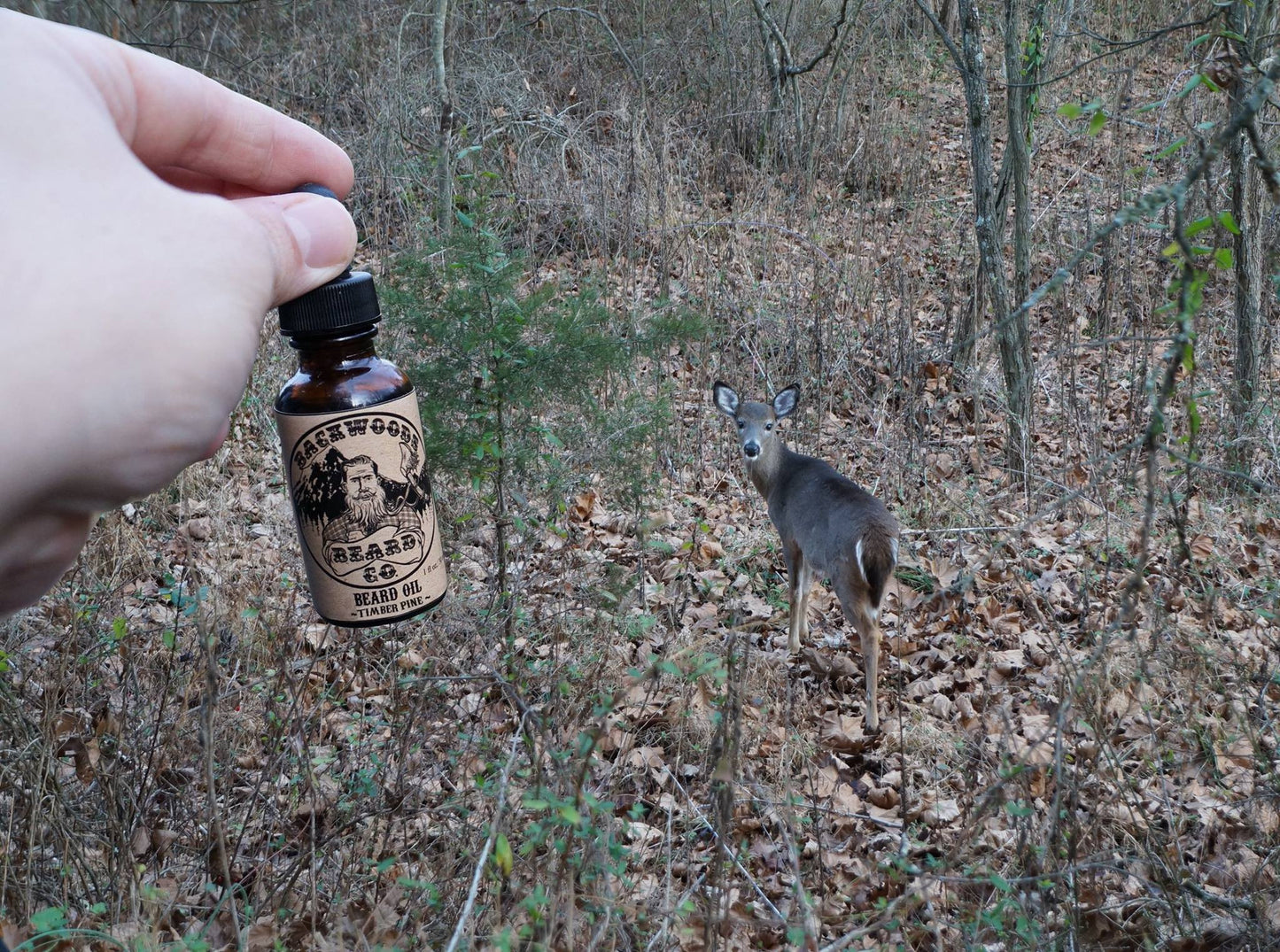 Timber Pine Beard Oil-1 oz.
