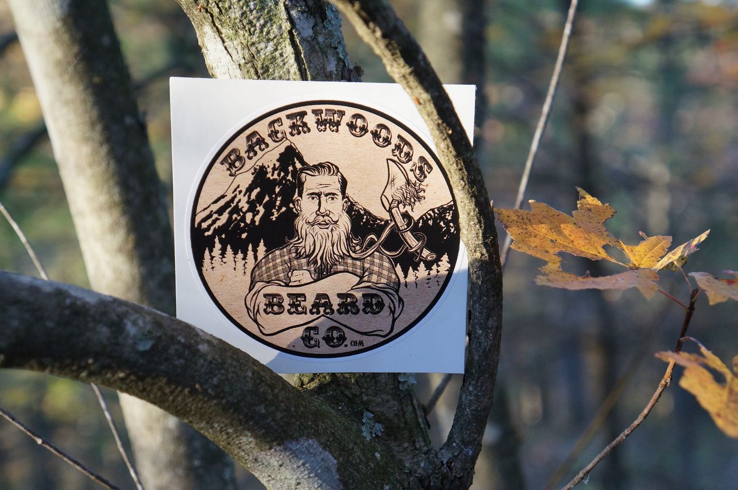 Logo Decals