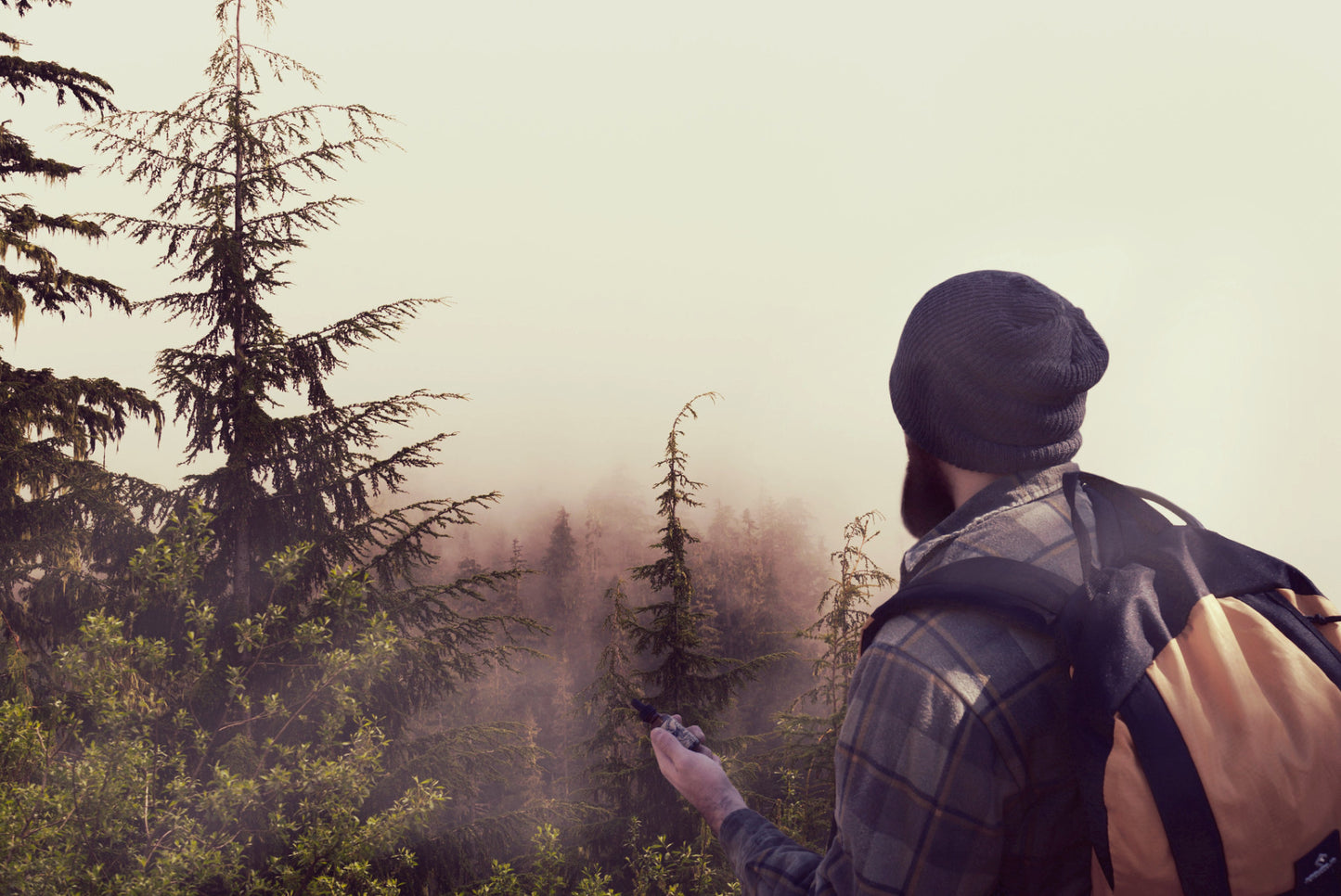 Mountain Mist Beard 